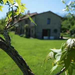 castagna-dulcis.it-tuscanyhotel.com/